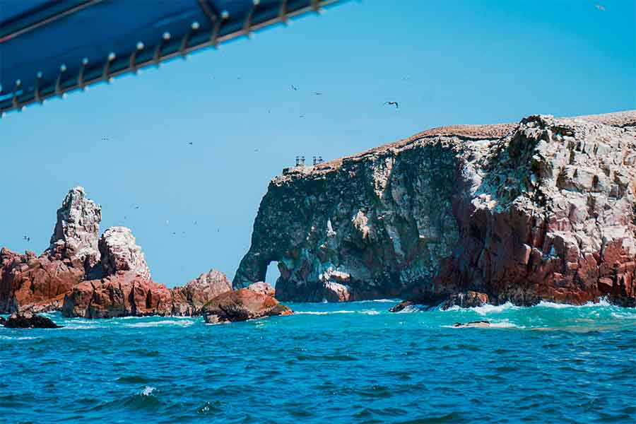 Islas Ballestas galápagos