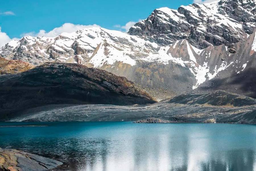 Glaciar Pastoruri y Puyas Raimondi