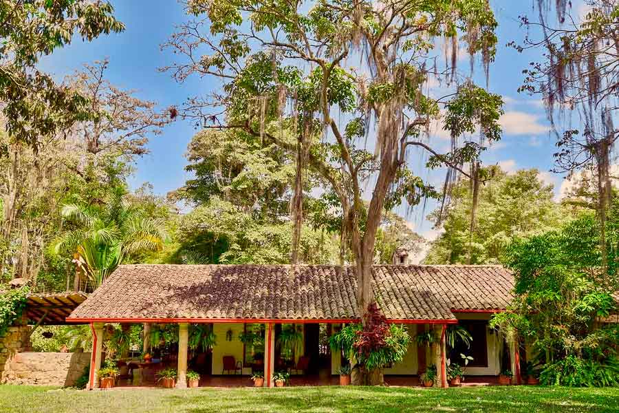 Ruta del Café en Colombia