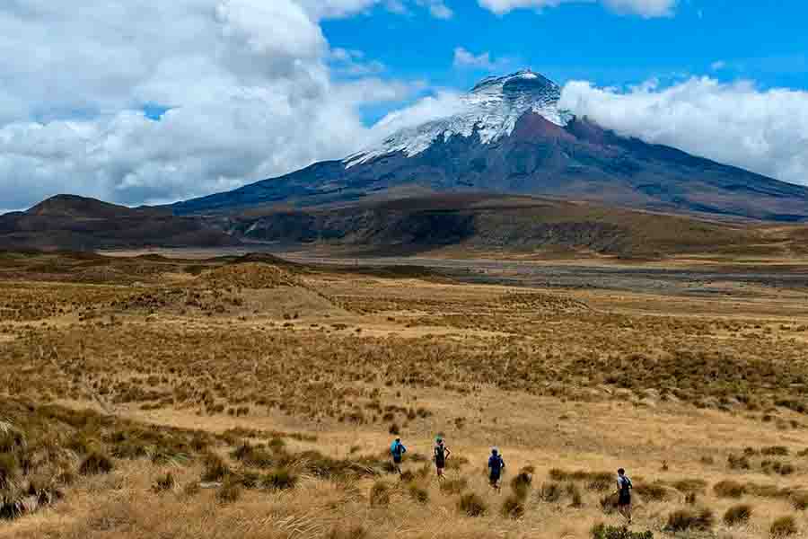 Excursión Privada a Cotopaxi: Cabalgata y Senderismo