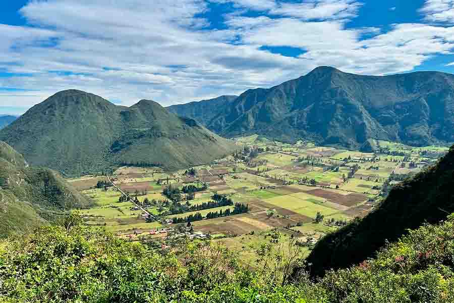 Tour Privado al Bosque Nuboso de Mindo: Biodiversidad y Chocolate