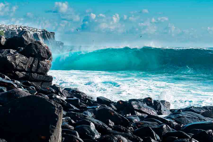 Tour a Isla Española en Galápagos