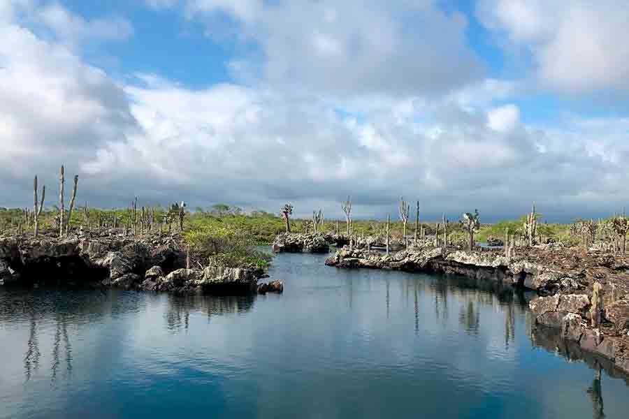 Snorkel en Túneles de Lava y Cabo Rosa